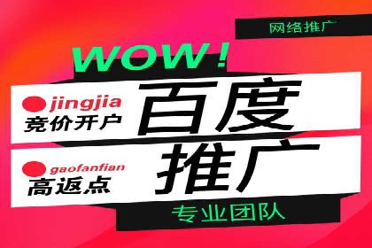 揭秘SEM推广代运营公司的成功之路